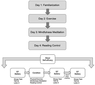 The Differential Impact of Acute Exercise and Mindfulness Meditation on Executive Functioning and Psycho-Emotional Well-Being in Children and Youth With ADHD